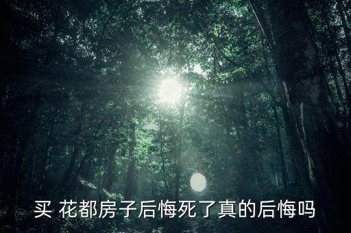 花都买学区房在哪里,扬州花都汇学区房怎么划分