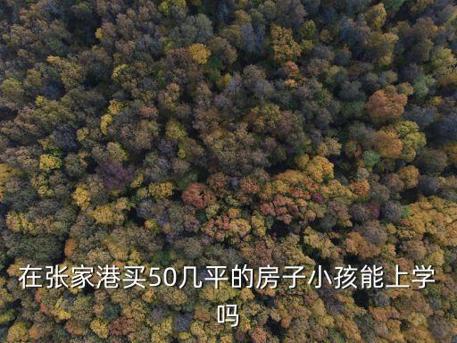 在张家港买50几平的房子小孩能上学吗