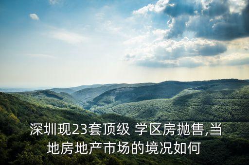 深圳南外学区房有哪些