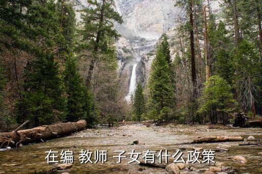 在编 教师 子女有什么政策