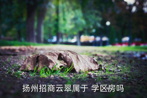 扬州招商云翠属于 学区房吗