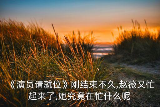 《演员请就位》刚结束不久,赵薇又忙起来了,她究竟在忙什么呢