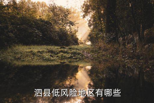 泗县东城美郡是哪个学区房