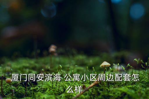 厦门学区房小公寓有哪些,厦门古龙公寓学区