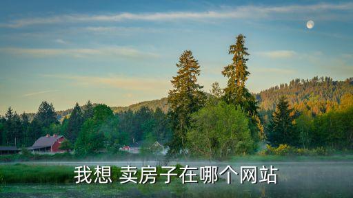 我想 卖房子在哪个网站