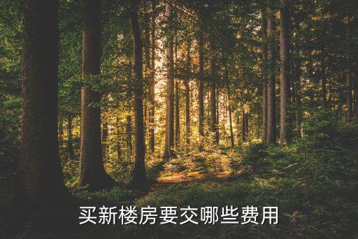 买新楼房要交哪些费用