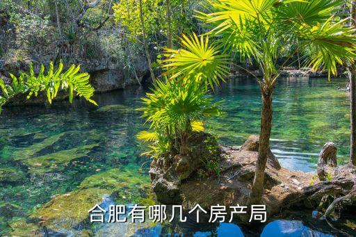 合肥市房管局电话965559,12345可以咨询房产问题吗