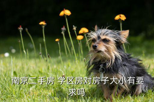 南京首付6万的学区房多少