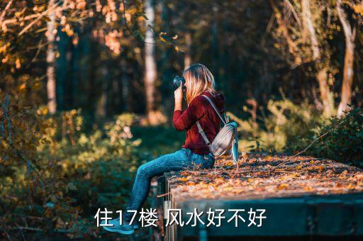 住17楼 风水好不好