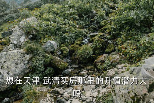 想在天津 武清买房那里的升值潜力大吗