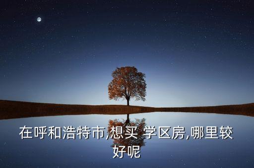 在呼和浩特市,想买 学区房,哪里较好呢