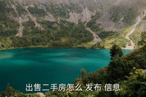 出售二手房怎么 发布 信息