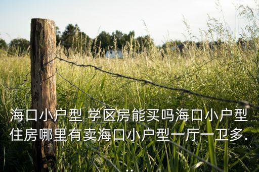 海口小户型 学区房能买吗海口小户型住房哪里有卖海口小户型一厅一卫多...