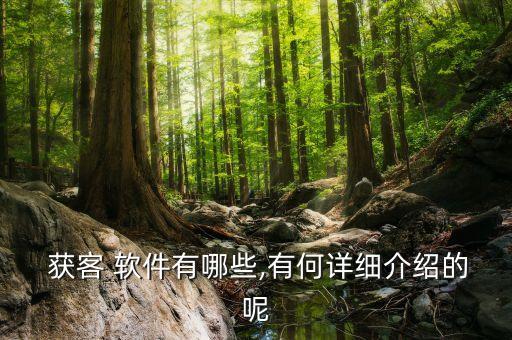  获客 软件有哪些,有何详细介绍的呢