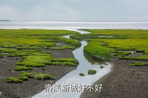 番禺楼盘最新楼盘,番禺最新楼盘在售