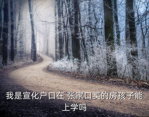 我是宣化户口在 张家口买的房孩子能上学吗