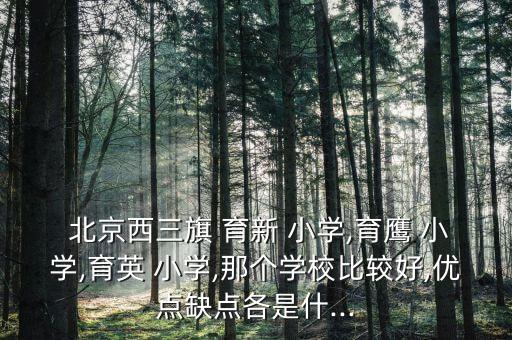  北京西三旗 育新 小学,育鹰 小学,育英 小学,那个学校比较好,优点缺点各是什...