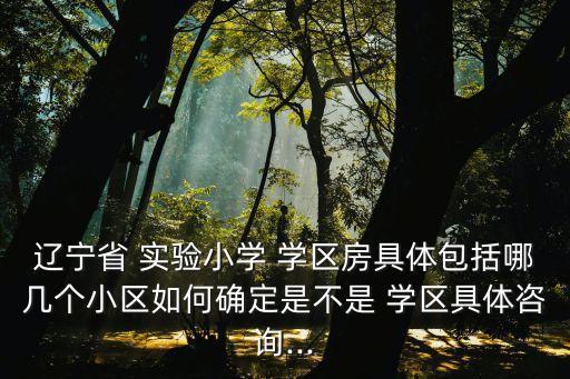 实验的学区房在哪里买的,学区房划分在哪里查