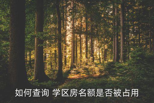 如何查询 学区房名额是否被占用