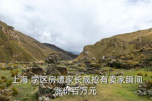  上海 学区房遭家长疯抢有卖家瞬间涨价百万元
