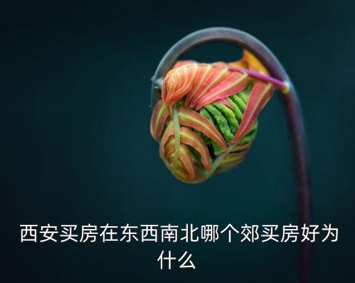  西安买房在东西南北哪个郊买房好为什么