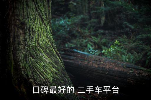 二手车直卖网哪个值得信赖,电动二手车直卖网有哪个平台