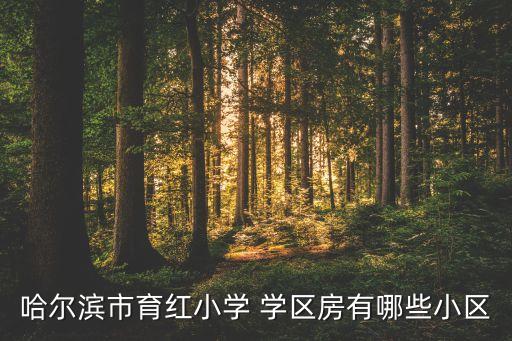 哈尔滨市育红小学 学区房有哪些小区