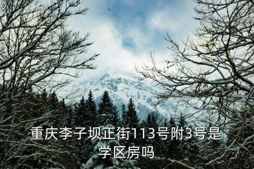  重庆李子坝正街113号附3号是 学区房吗