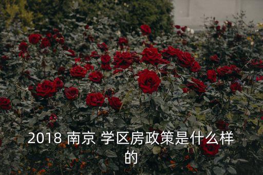 南京还有学区房嘛多少钱,南京学区房要求多少平以上