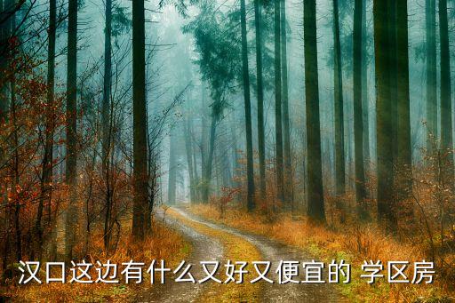 武汉5平米学区房多少钱,学区房不能低于多少平米