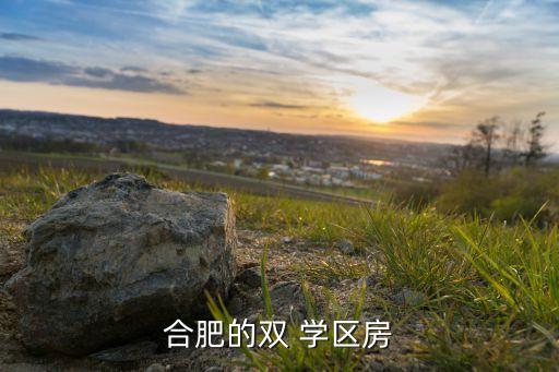 合肥的双 学区房