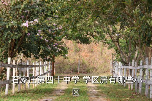 石家庄裕华区学区房哪个好