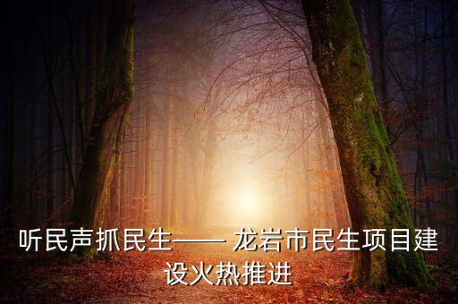 听民声抓民生—— 龙岩市民生项目建设火热推进