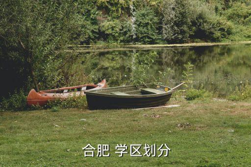  合肥 学区划分