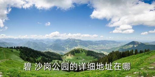 碧 沙岗公园的详细地址在哪