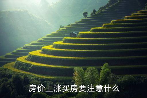  房价上涨买房要注意什么