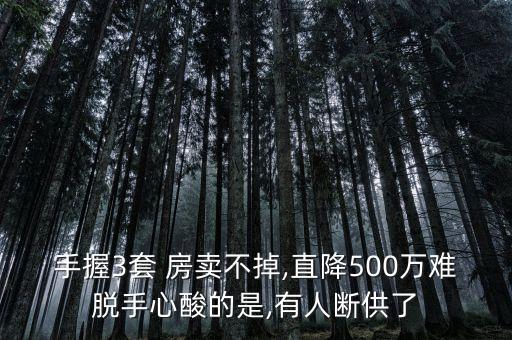 手握3套 房卖不掉,直降500万难脱手心酸的是,有人断供了
