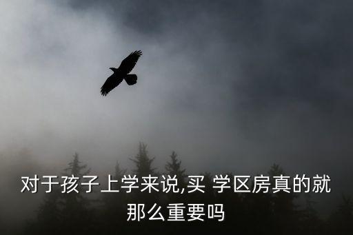 对于孩子上学来说,买 学区房真的就那么重要吗