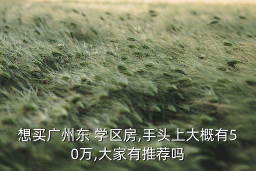 想买广州东 学区房,手头上大概有50万,大家有推荐吗