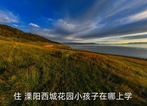溧阳学区房哪里好卖些啊,溧阳阳光城市学区是哪里