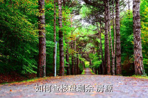 如何查楼盘剩余 房源
