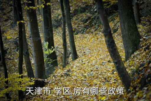 天津市 学区 房有哪些政策