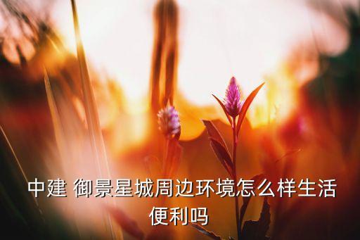 中建御景星城户型图,武汉中建御景星城户型图