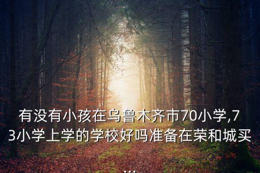有没有小孩在乌鲁木齐市70小学,73小学上学的学校好吗准备在荣和城买...
