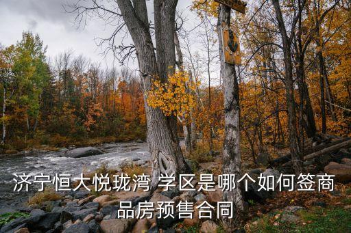 济宁恒大悦珑湾 学区是哪个如何签商品房预售合同