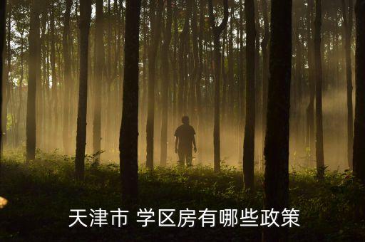  天津市 学区房有哪些政策