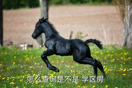 怎么查询是不是 学区房
