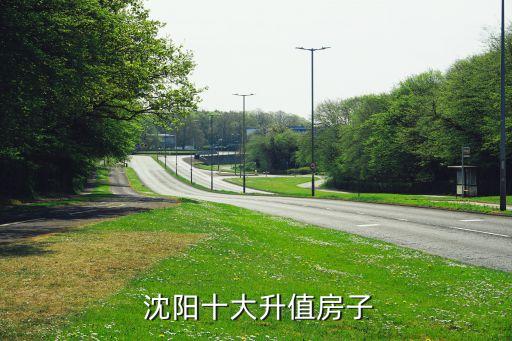  沈阳十大升值房子