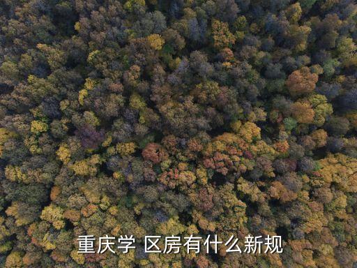  重庆学 区房有什么新规