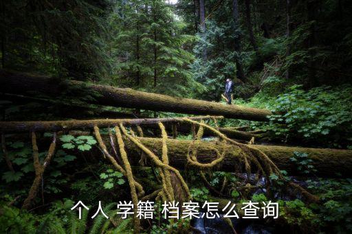 个人 学籍 档案怎么查询